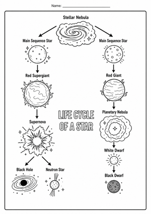 Grade 5 Life Cycle of a Star — Printable No-Prep Worksheet
