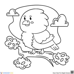 Bird Illustration: Learn about Bird Species Worksheet
