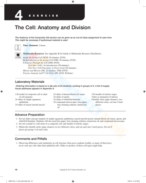 Grade 11 Anatomy of The Composite Cell Worksheets 2024