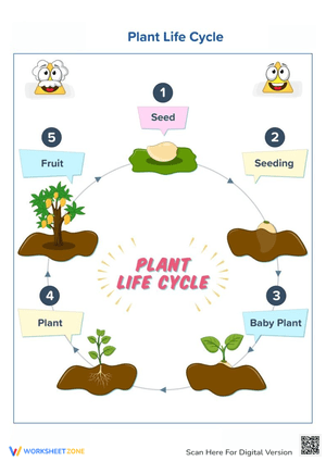 Fun Plant Life Cycle Diagram for Learning