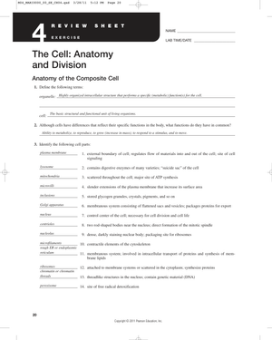 Updated Anatomy of the Composite Cell Worksheet