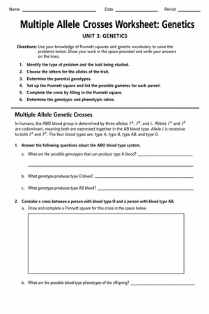 Multiple Allele Crosses Worksheet | Essential Biology