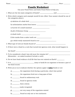 Explore Fossils with this Engaging Worksheet