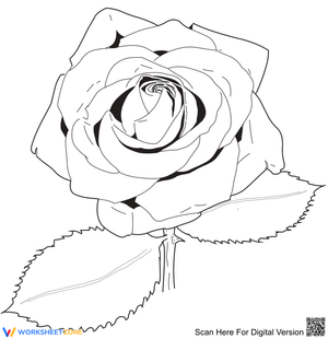 The Rose Coloring Page