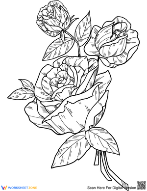 Roses Coloring Page