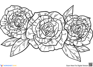 Explore the Beauty of Roses