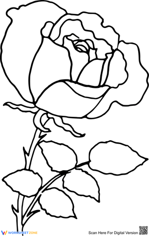 Rose Outline Coloring Page