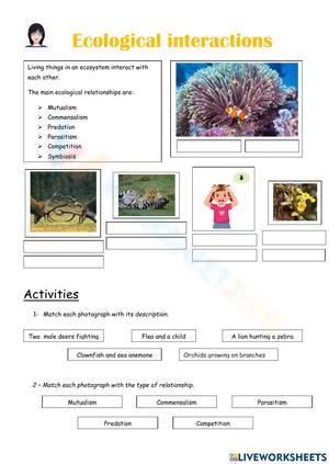 Ecological Interactions: Worksheet on Ecosystems