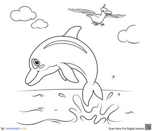 Cocomelon dolphins