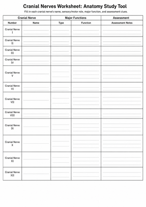 Printable Cranial Nerves Worksheet | Grade 9-11 Biology