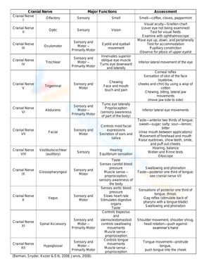 Cranial Nerves Worksheet: Anatomy Study Tool