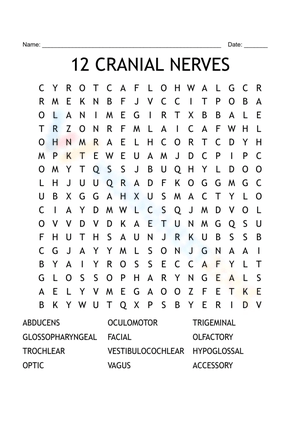 Cranial Nerve Wordsearch: Anatomy Activity