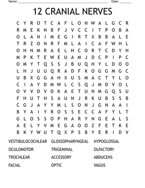 Cranial Nerve Wordsearch: Anatomy Activity