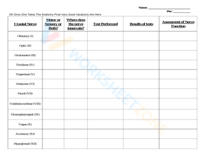 Cranial Nerve Table Worksheet: Anatomy Study