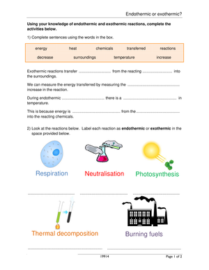 Endothermic and Exothermic Worksheet 4: Study