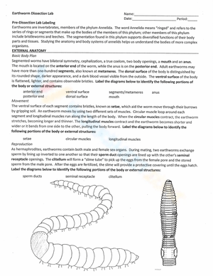 Explore Earthworm Anatomy Worksheet