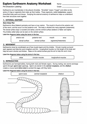 Grade 9 Earthworm Anatomy — Printable No-Prep Worksheet