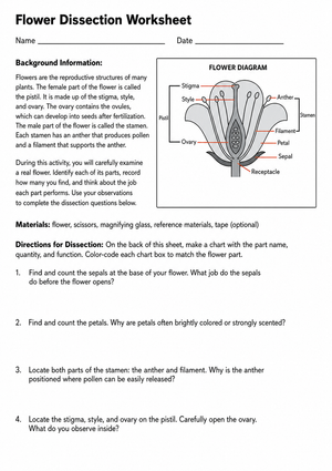 Printable Flower Dissection Worksheet | Grades 9-11