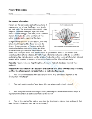 Flower Dissection Worksheet