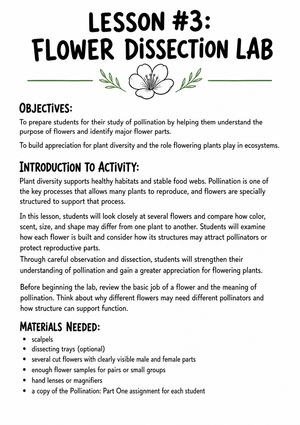 Flower Dissection Lab Worksheet (3 Levels) | Grade 10 Ready