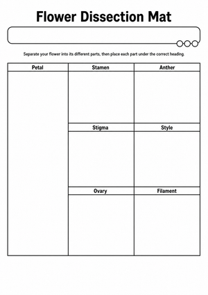 Flower Dissection Mat | Essential Grade 9-11 Biology