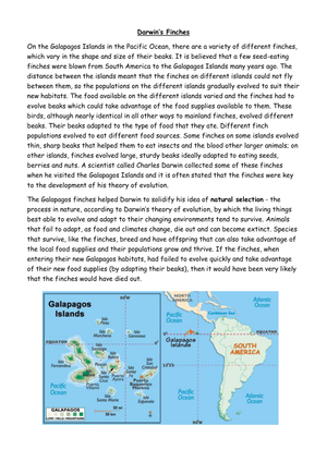 Evolution of Darwin's Finches: Worksheet