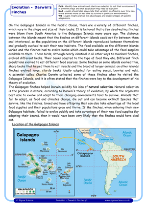 Darwin's Finches Worksheet