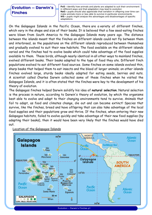 Darwin's Finches Worksheet