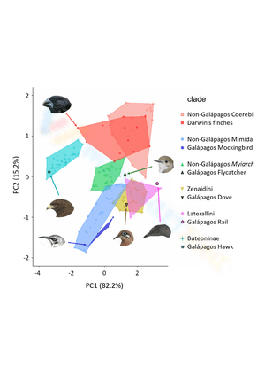 Darwin's Finches: Evolution Worksheet for Biology