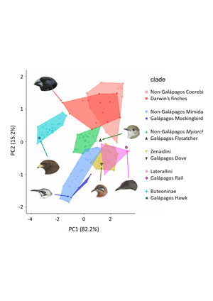 Darwin's Finches: Evolution Worksheet for Biology