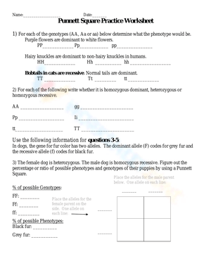 Punnett Square Practice Worksheet