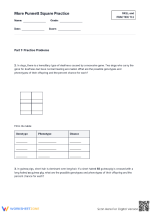 Punnett Square Practice Worksheet