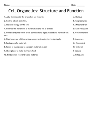 Cell Organelles Structure and Function