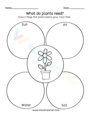 What Do Plants Need Worksheet