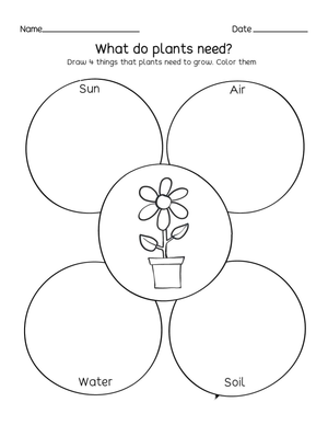 What Do Plants Need Worksheet