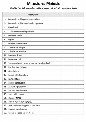 Grade 9 Mitosis vs Meiosis — Printable No-Prep Worksheet