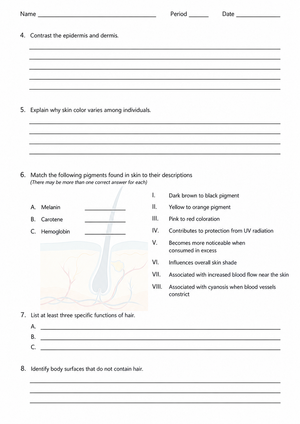 Printable Integumentary System Worksheet | Grade 6 Science