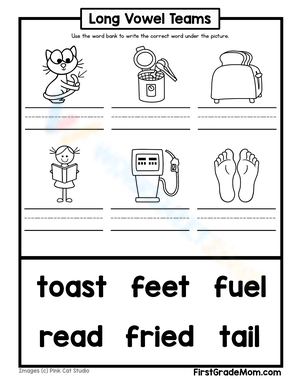 Long Vowel Team Identification Worksheet