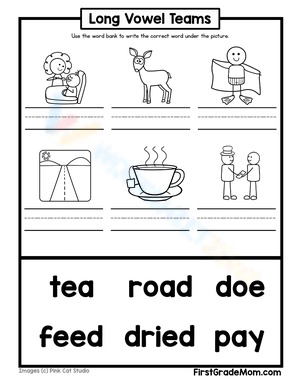 Long Vowel Team Identification Worksheet 2