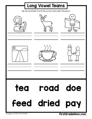 Long Vowel Team Identification Worksheet 2