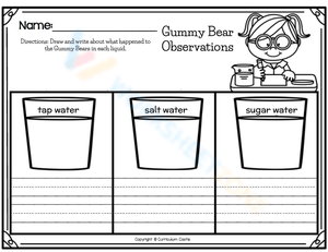 Gummy Bear Observations