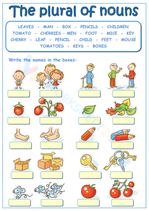 The plural of nouns