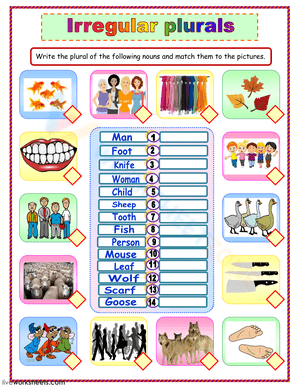 More Irregular Plurals Practice