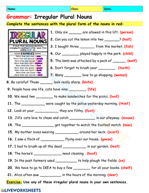 Irregular Plural Nouns Grammar Worksheet