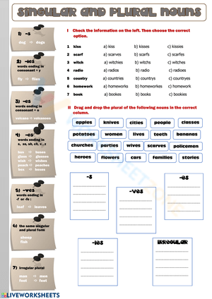 Master Singular and Plural Nouns Worksheet