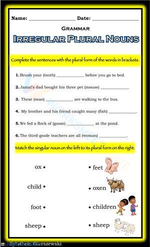 Irregular Plural Nouns Practice Worksheet