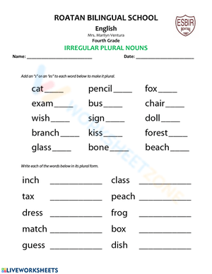 Irregular Plural Nouns Worksheet for 4th Graders