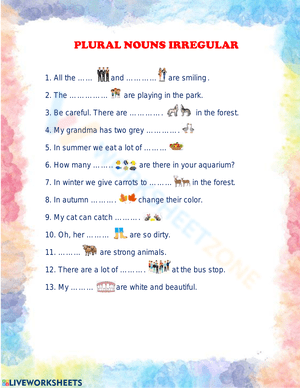 PLURAL NOUNS IRREGULAR