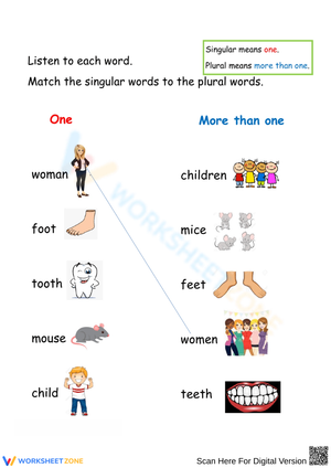 Singular to Plural Word Match