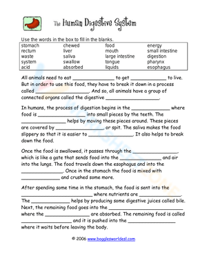 Digestive System Cloze Worksheet